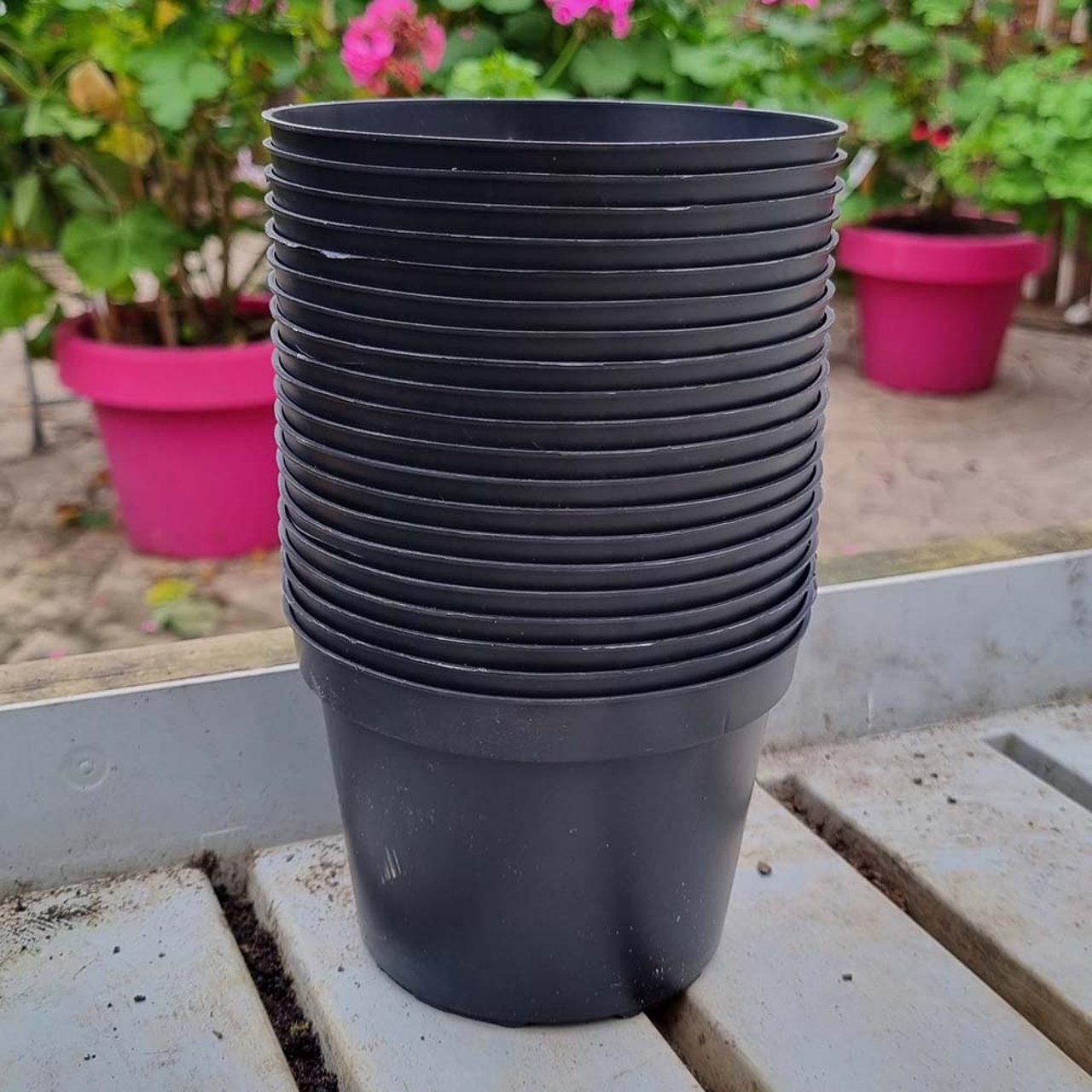 Odlarkruka i plast 11 cm ⌀ (20-pack) Fysisk