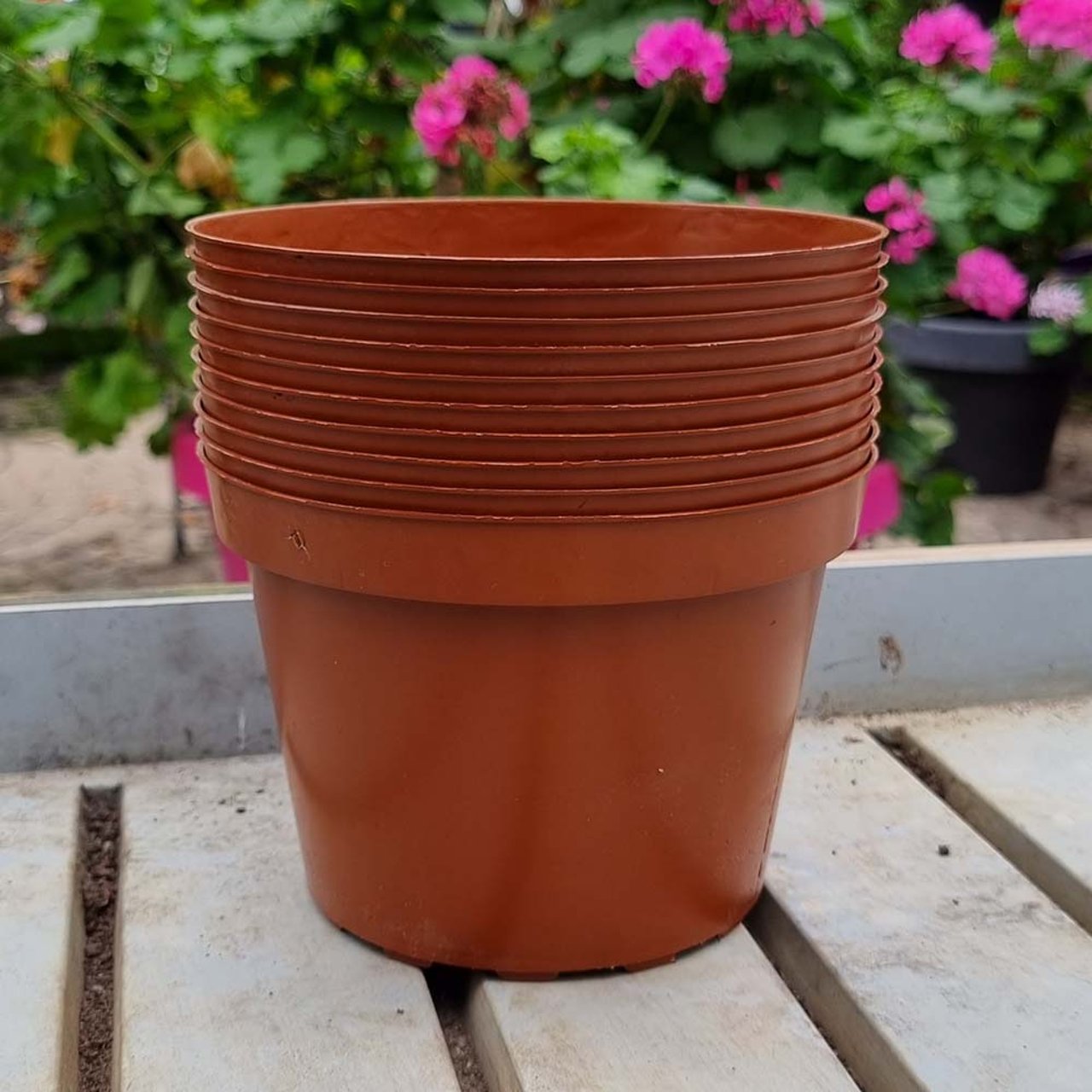 Grower's Pot in plastic 15 cm ⌀ (10pc) Physical