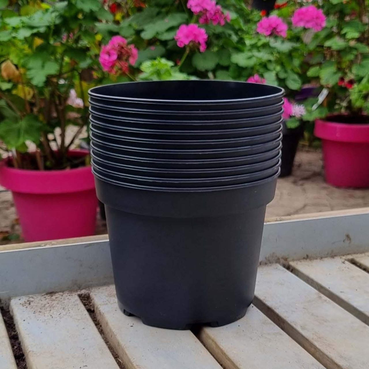 Grower's Pot in plastic 17 cm ⌀ (10pc) Physical