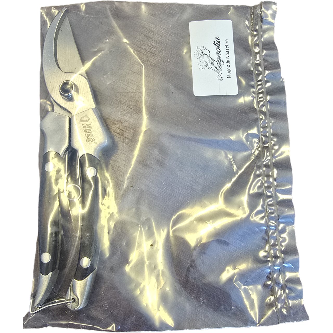 Big Simple Pruner Physical