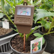 Moisture Meter Physical