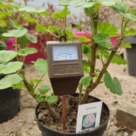 Moisture Meter Physical