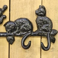 Krok katter på kvist Fysisk