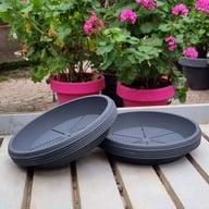 Saucer 30 cm ⌀ (5 pcs) Physical