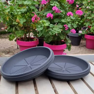 Saucer 35 cm ⌀ (5 pcs) Physical