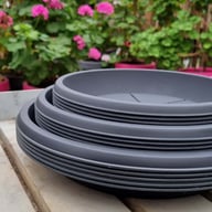 Saucer 35 cm ⌀ (5 pcs) Physical