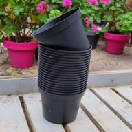 Odlarkruka i plast 11 cm ⌀ (20-pack) Fysisk