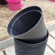 Odlarkruka i plast 11 cm ⌀ (20-pack) Fysisk