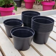 Odlarkruka i plast 11 cm ⌀ (20-pack) Fysisk