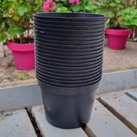 Odlarkruka i plast 11 cm ⌀ (20-pack) Fysisk