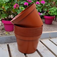 Grower's Pot in plastic 15 cm ⌀ (10pc) Physical