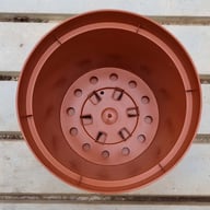 Grower's Pot in plastic 15 cm ⌀ (10pc) Physical