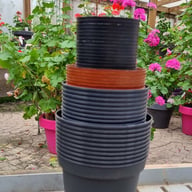 Grower's Pot in plastic 15 cm ⌀ (10pc) Physical