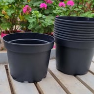 Grower's Pot in plastic 17 cm ⌀ (10pc) Physical