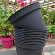 Grower's Pot in plastic 19 cm ⌀ (10pc) Physical