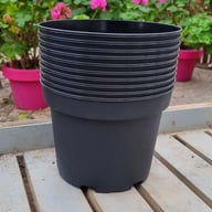 Grower's Pot in plastic 19 cm ⌀ (10pc) Physical