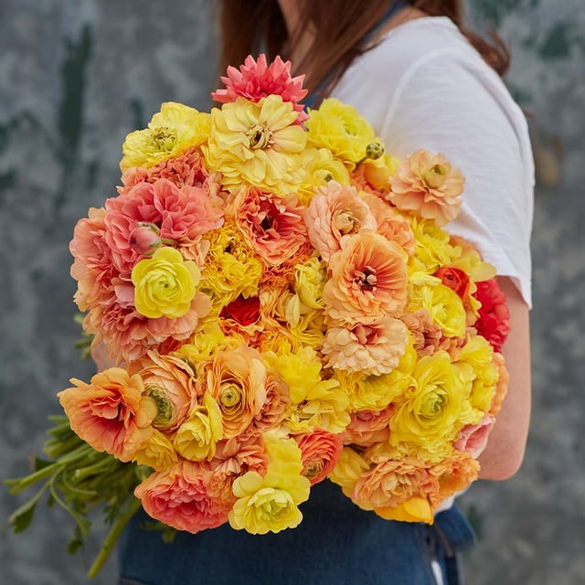 Amandine Pastel Lemon
