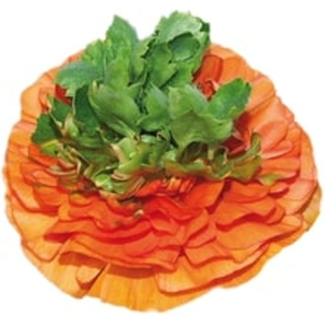 Elegance Arancio