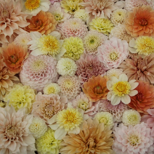 Jessica's Wedding Florals