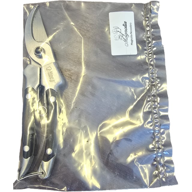 Big Simple Pruner Physical