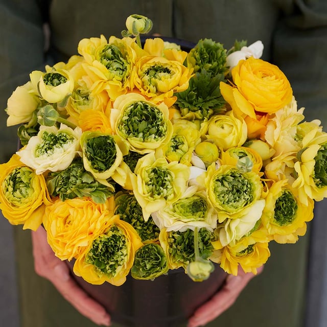 Super Green Yellow