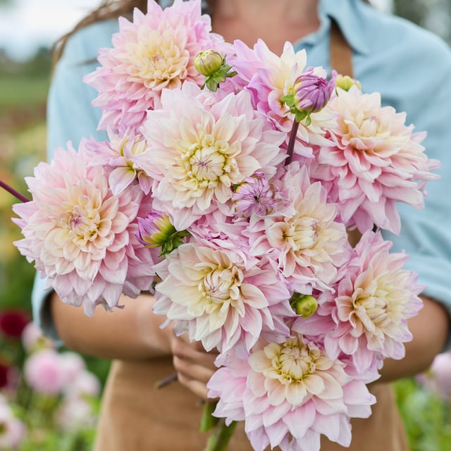 Sweet September