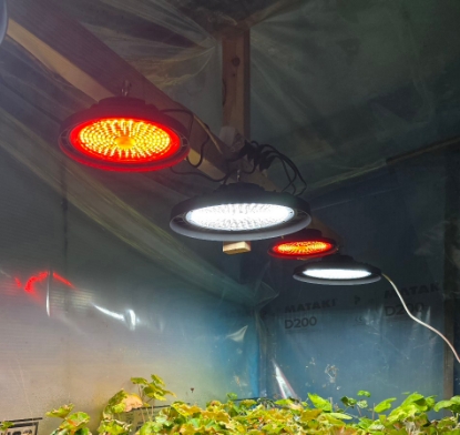 Bild på Industri/ Växtbelysning 200W Neutralt Vitt (4000k)